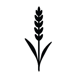 Lavender Planting gardening company